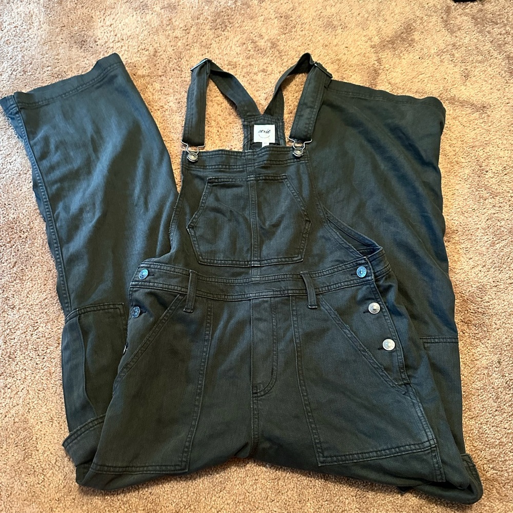 Aerie Overalls
